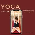 Clases Online de Iyengar Yoga con Catalina Rey