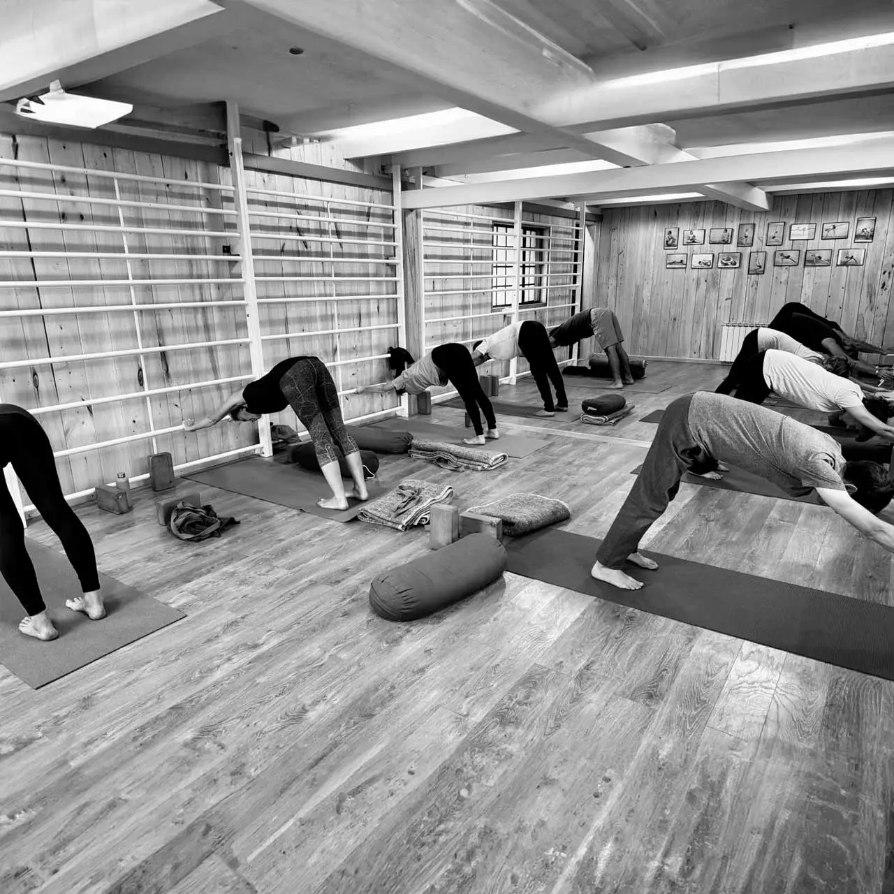 Iyengar Yoga