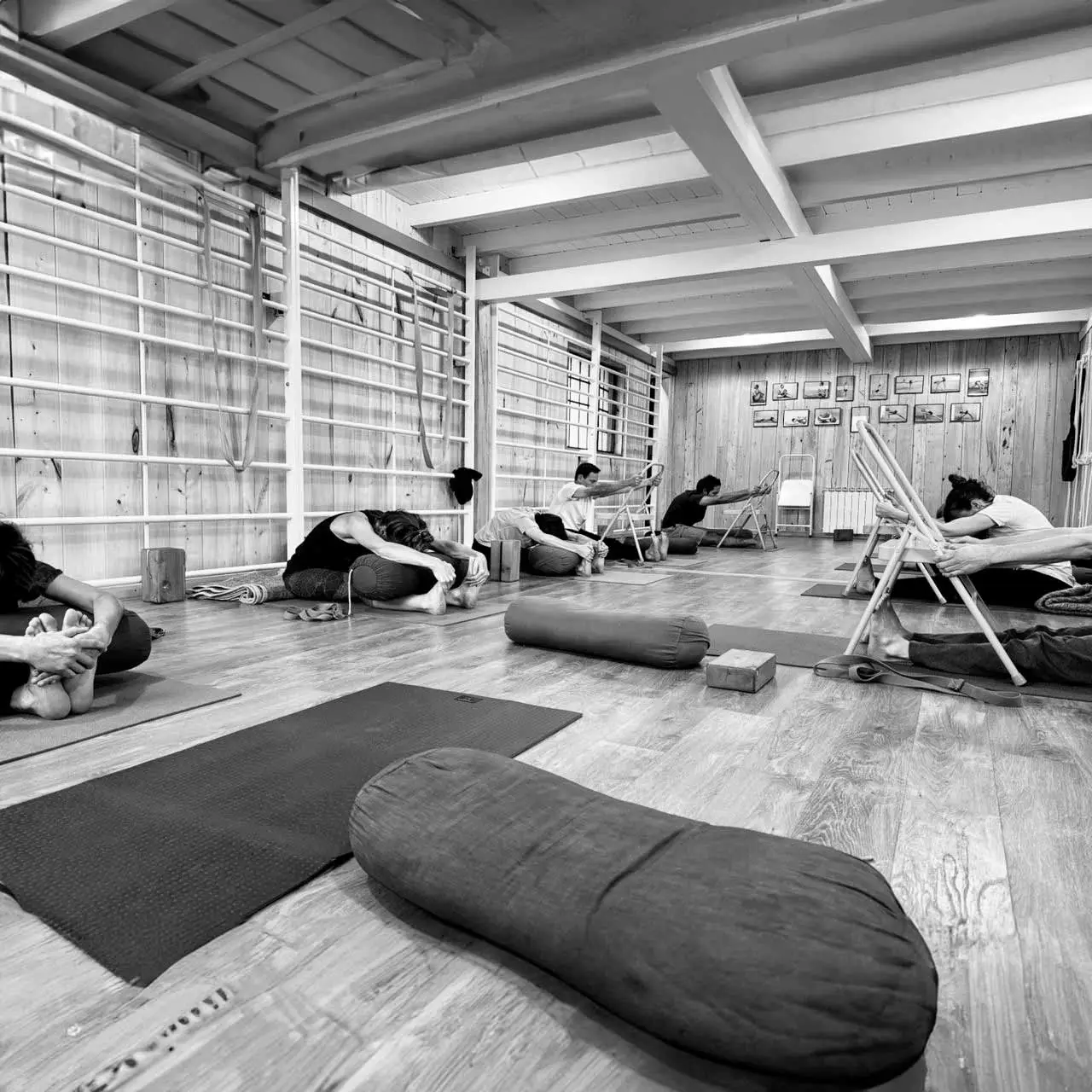 Iyengar Yoga