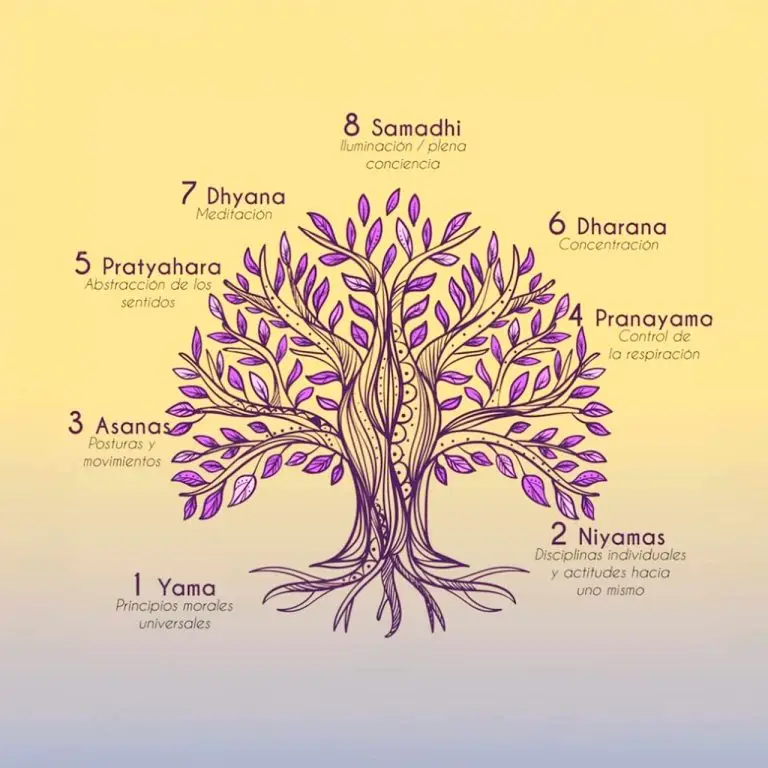 Los 8 pasos del yoga: YAMA, NIYAMA, ASANA, PRANAYAMA, PRATYAHARA, DHARANA, DHYANA, SAMADHI