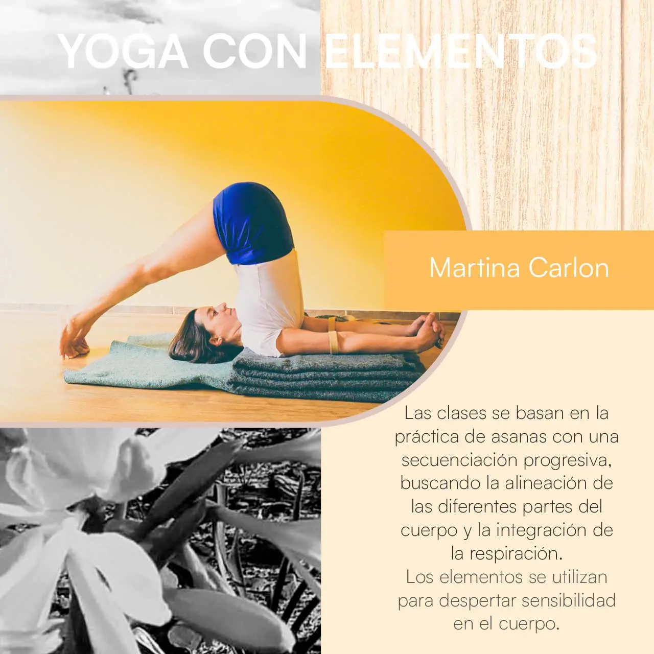 Yoga con Elementos Martina Carlon